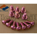 GR5 anodização parafuso de titânio roxo / azul / rosa / ouro